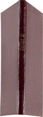 Лютня III. Молодая Россия в стихах. 5-е изд. Лейпциг: Э.Л. Каспрович, [б. г.].